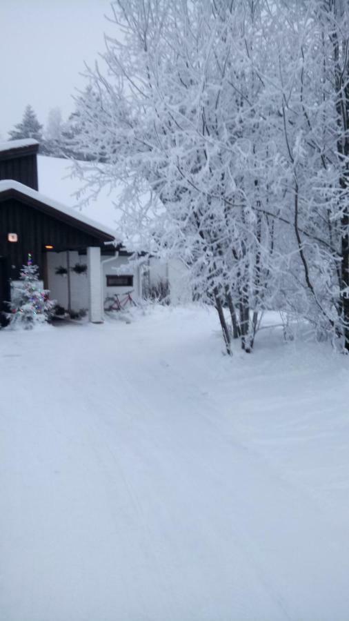 The House Near Santa Park Villa Rovaniemi Bagian luar foto