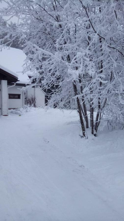 The House Near Santa Park Villa Rovaniemi Bagian luar foto