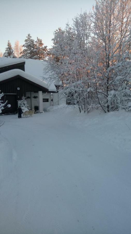 The House Near Santa Park Villa Rovaniemi Bagian luar foto