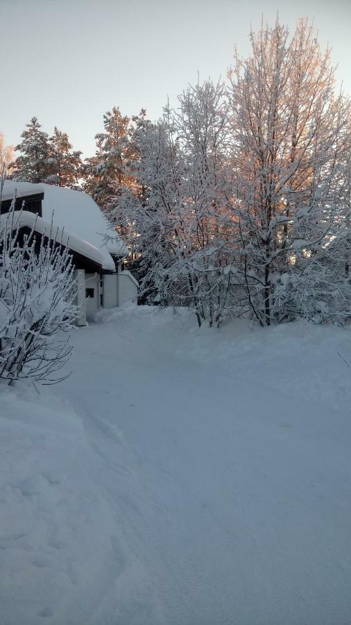 The House Near Santa Park Villa Rovaniemi Bagian luar foto