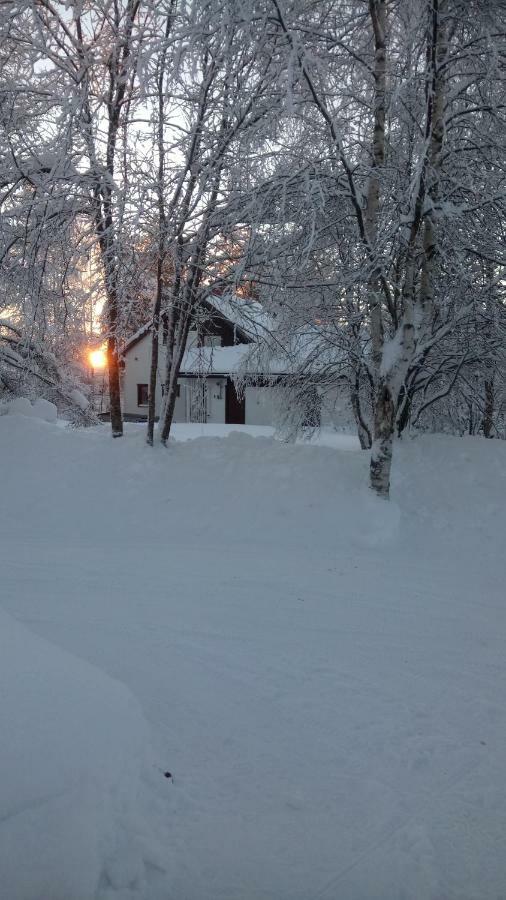 The House Near Santa Park Villa Rovaniemi Bagian luar foto